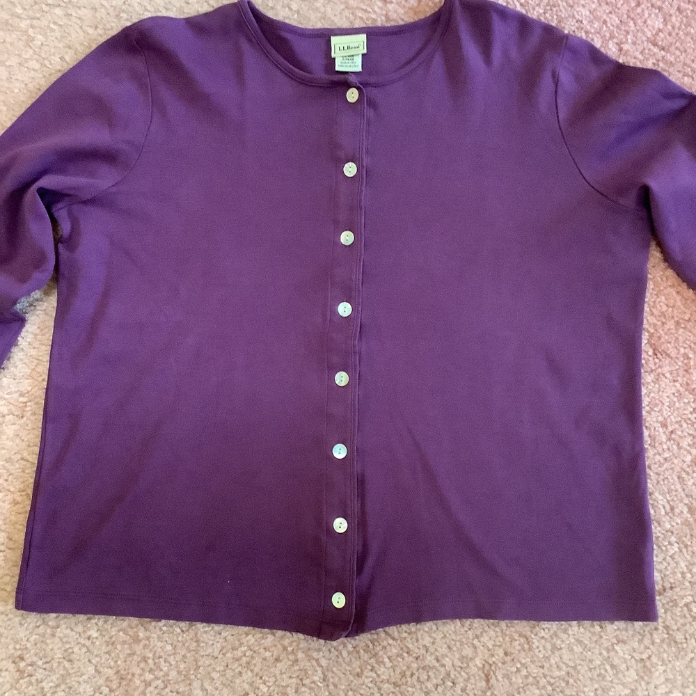 LL Bean purple button down top.  Size Large